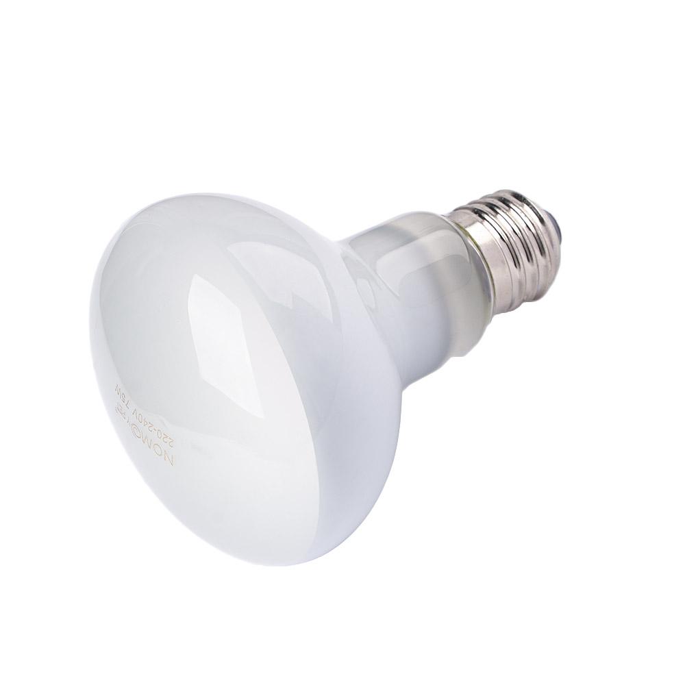 Basking Bulb Halogen - Lizard Heater Temperature Controller Halogen Bulb