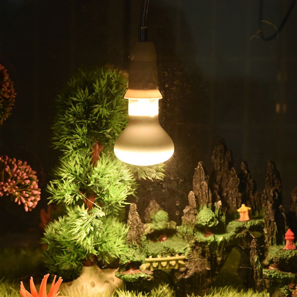 Basking Bulb Halogen - Amphibians Heater Heat Lamp UVA Light