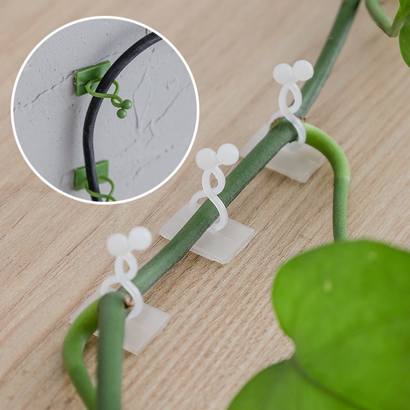 Vine Climbing Plastic - 10Pcs Plant Wall Fixing Hooks Universal