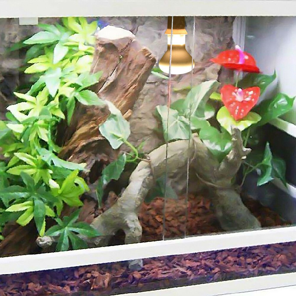 Basking Bulb Halogen - Turtle Temperature Controller Heater UVA Light