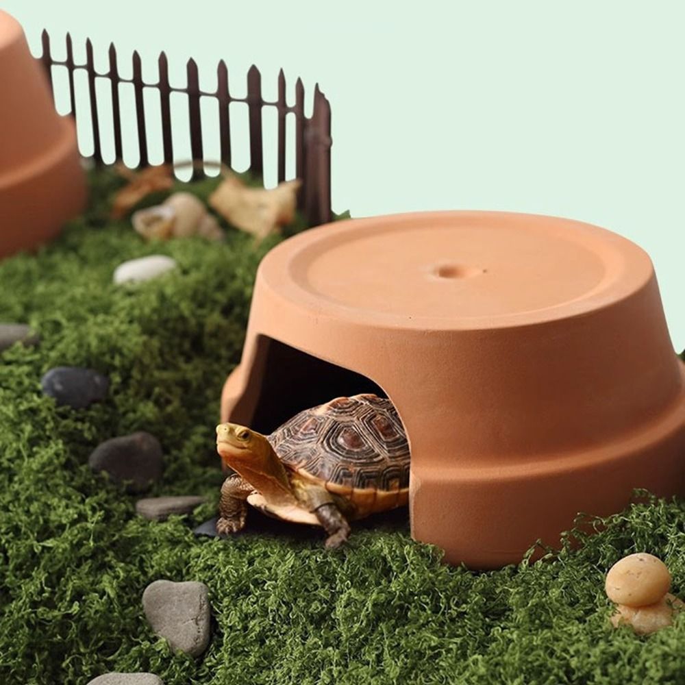 Multifunctional Ceramics Repti - Hide Cave Ceramic 评论和价格