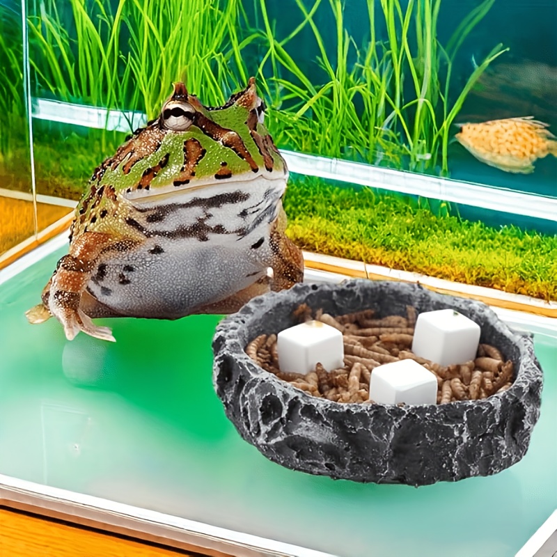 6Pcs For Reptile Grinding Tort - Calcium Powder Reptile 评论和价格