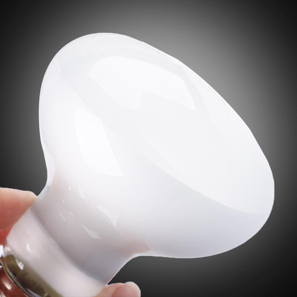 Lizard Heater Temperature Cont - Basking Bulb Halogen 评论和价格