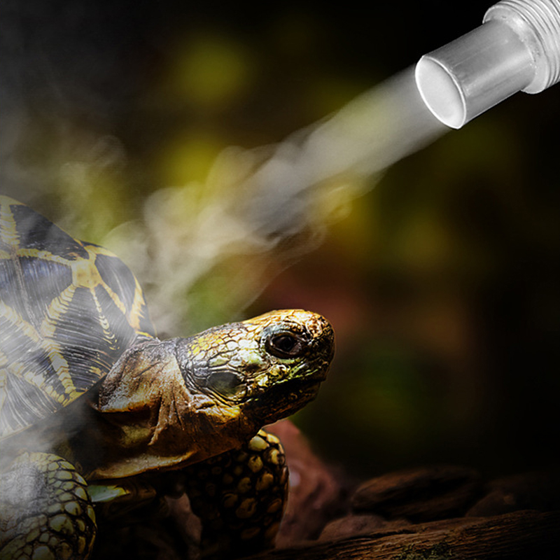4L Reptile Terrariums Humidifi - Terrarium Fogger Ultrasonic 评论和价格