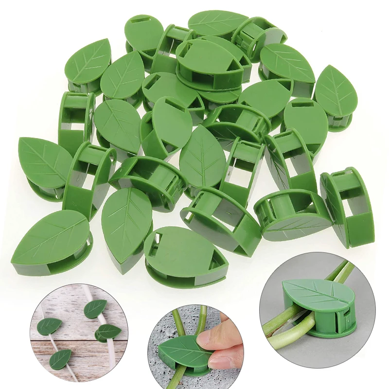 1-50Pcs invisible plant wall c - Vine Climbing Plastic 评论和价格