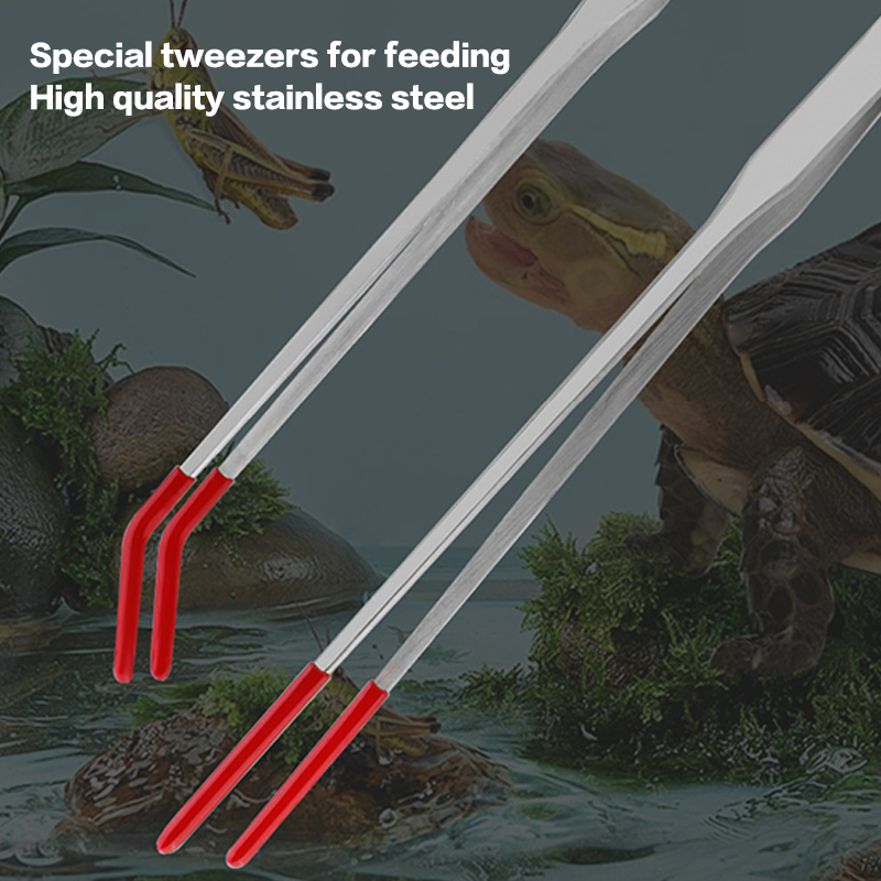 Expert Aquarium Tools: Stainle - Feeding Tong Stainless 评论和价格