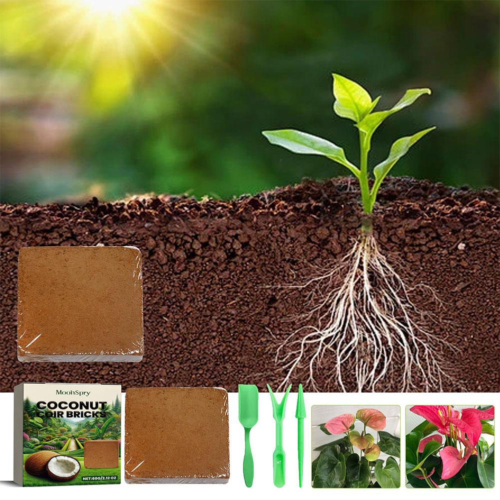 Reptile Coconut Soil Coir Pres - Substrate Coconut Fiber 评论和价格