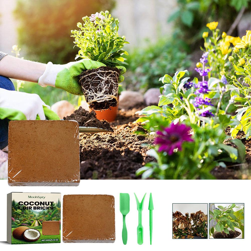Reptile Coconut Soil Coir Pres - Substrate Coconut Fiber 评论和价格