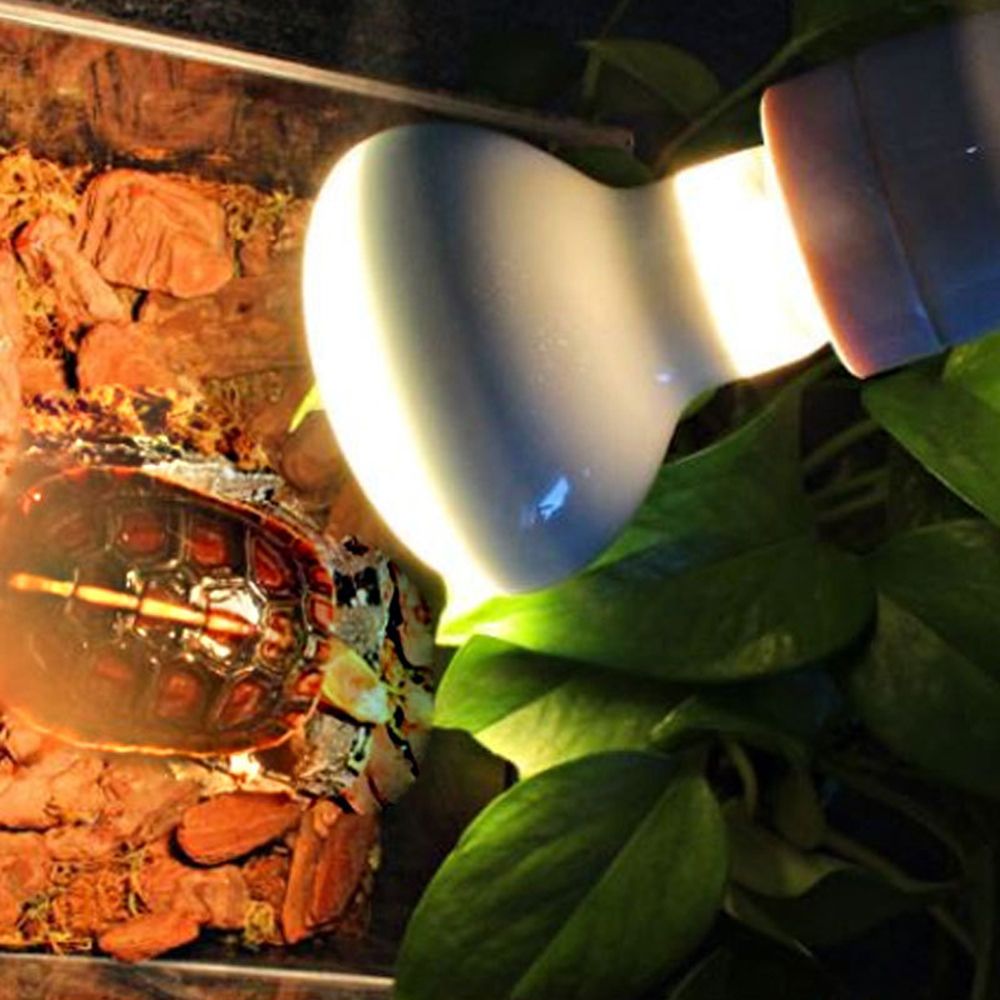 Lizard Heater Temperature Cont - Basking Bulb Halogen 评论和价格