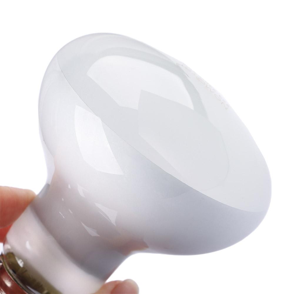 Lizard Heater Temperature Cont - Basking Bulb Halogen 评论和价格