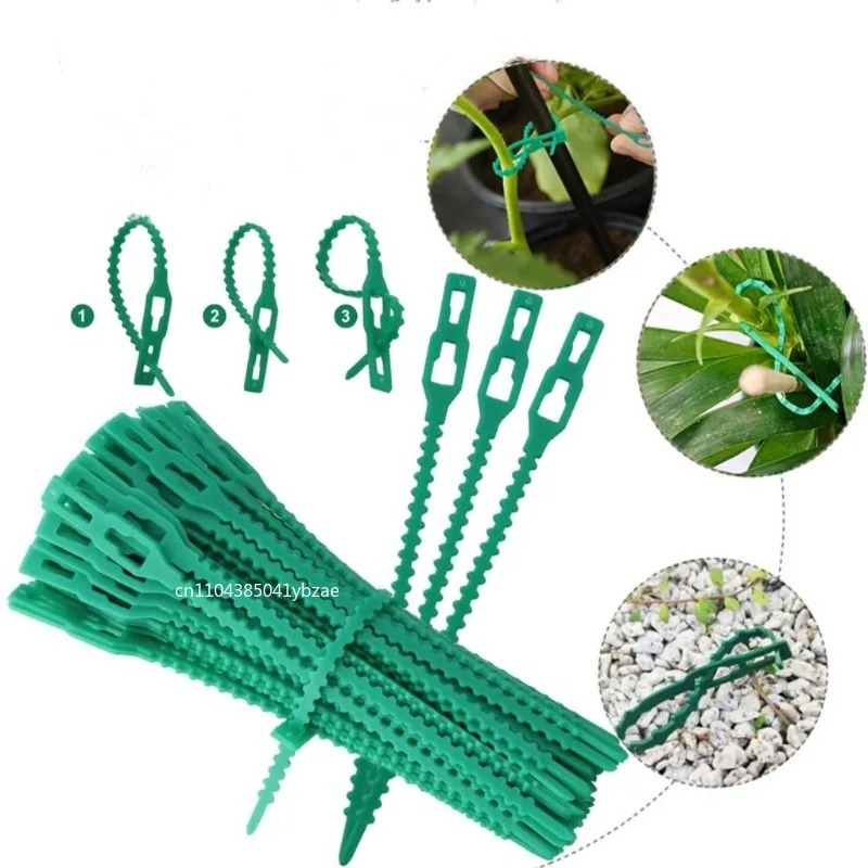 50-1000pcs Adjustable Plastic  - Vine Climbing Plastic 评论和价格
