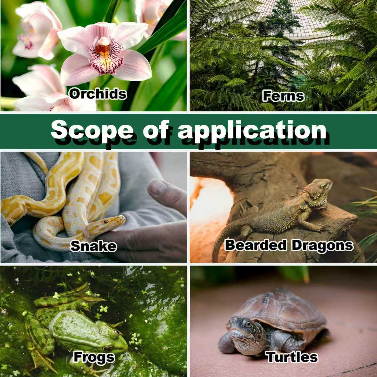 Reptile Humidifier Terrarium F - Terrarium Fogger Ultrasonic 评论和价格