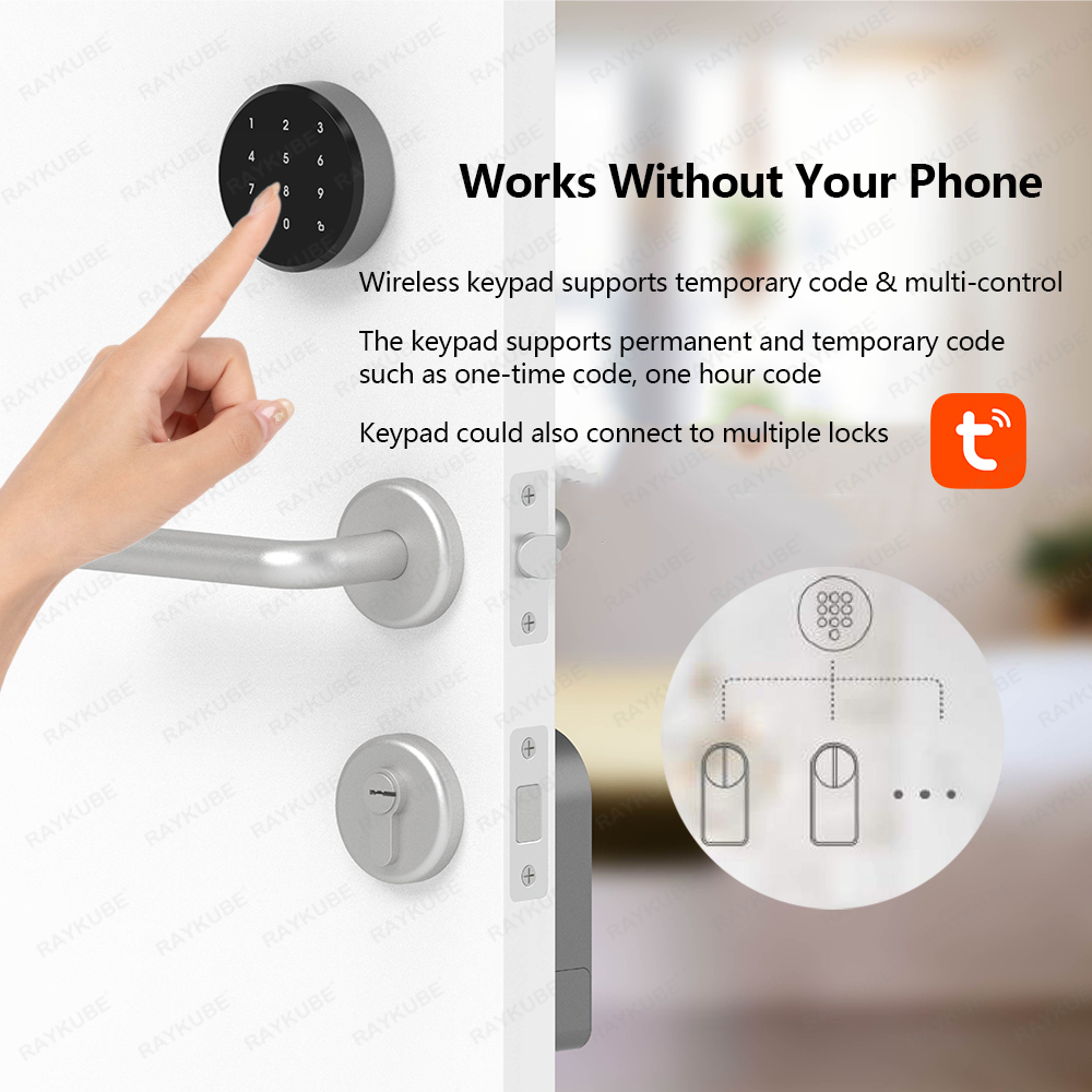 RAYKUBE A1 Pro Tuya BEL Smart  - Glass Door Hinge 评论和价格