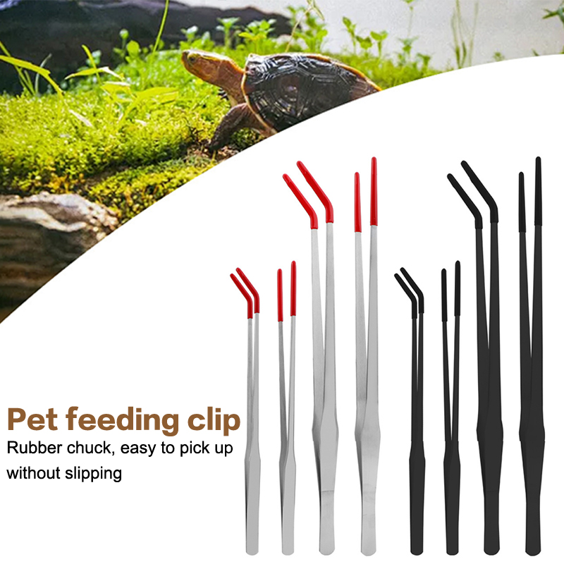 Stainless Steel Reptile Feedin - Feeding Tong Stainless 评论和价格