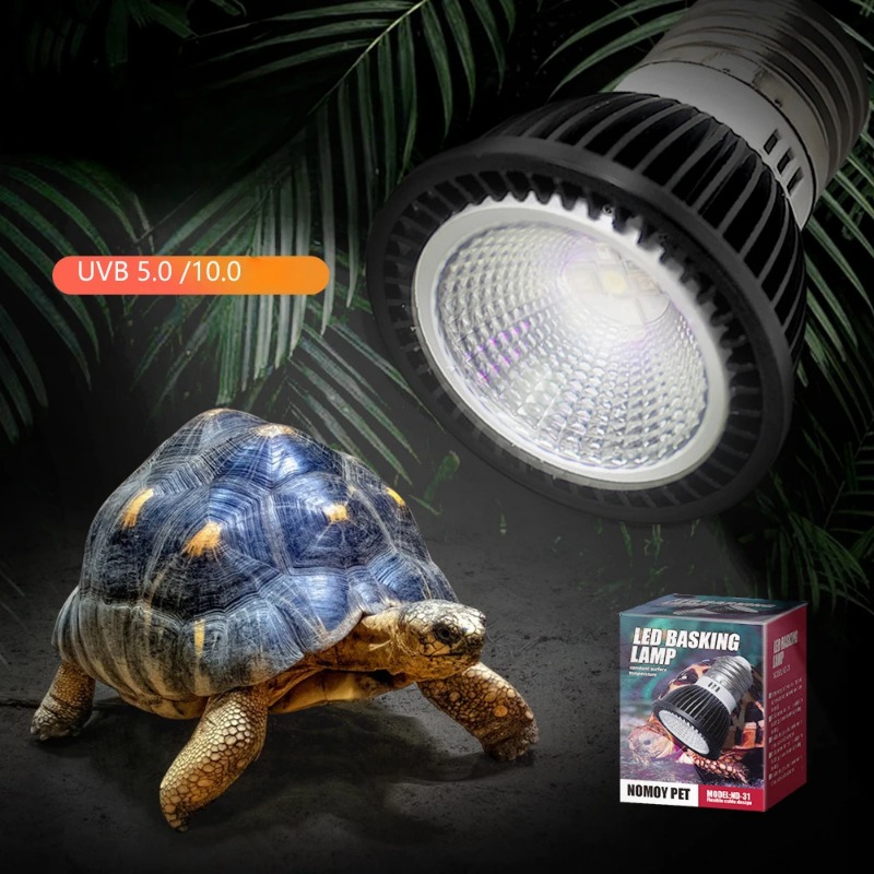 NOMOY Reptile 110/220V UVB+UVA - Calcium Powder Reptile 评论和价格
