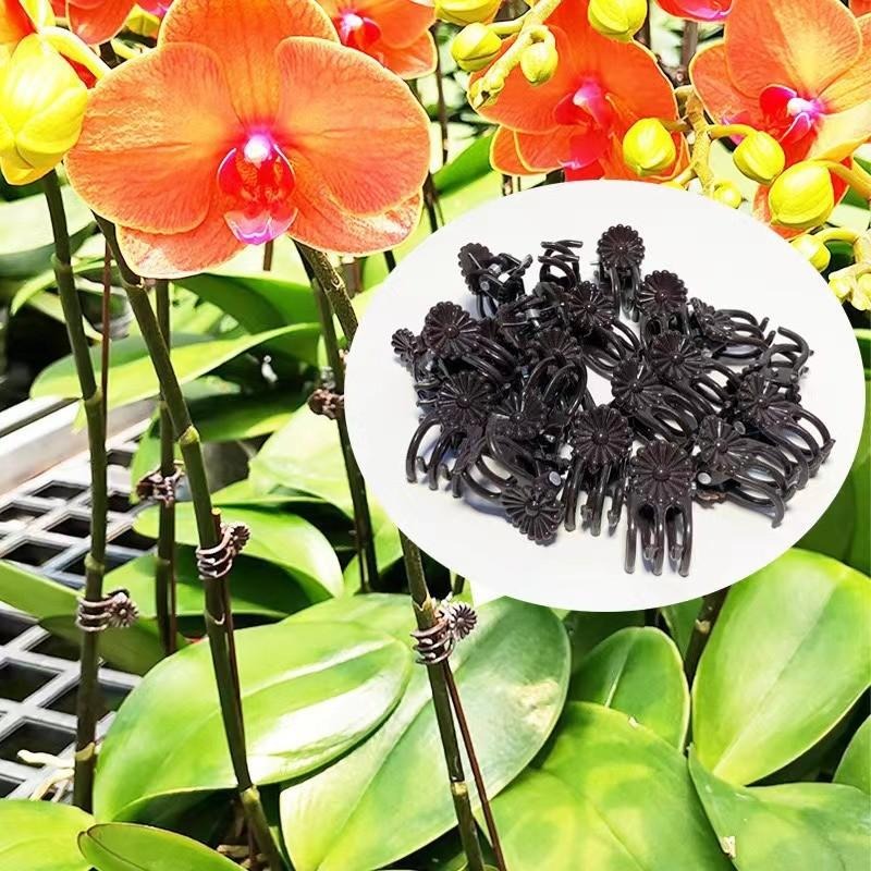 Wholesale Mini Plant Support C - Vine Climbing Plastic 评论和价格
