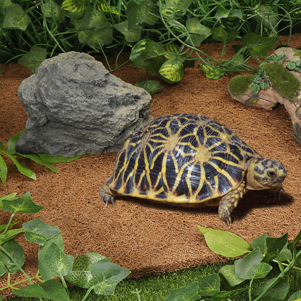 Terrarium Bedding Carpet Natur - Substrate Coconut Fiber 评论和价格