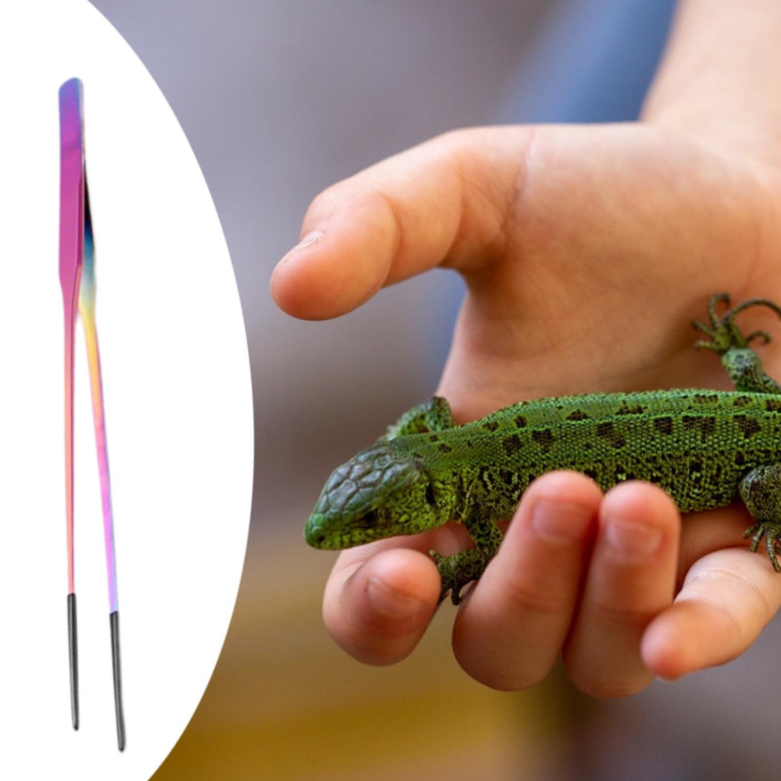 Aquarium Tweezers Reptile Feed - Feeding Tong Stainless 评论和价格
