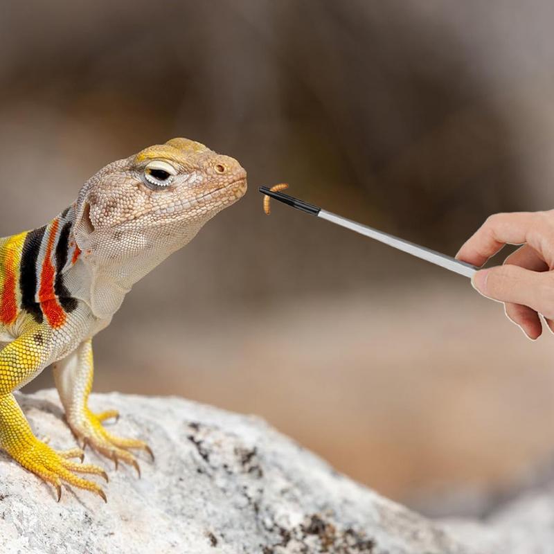 Extra Long Reptile Feeding Ton - Feeding Tong Stainless 评论和价格