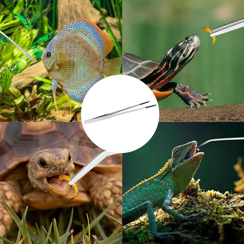 Extra Long Reptile Feeding Ton - Feeding Tong Stainless 评论和价格