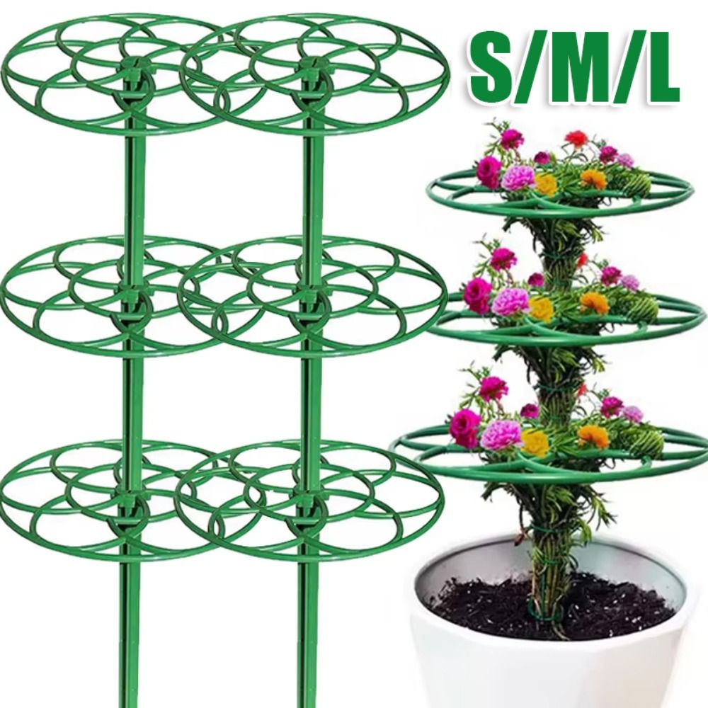 Durable S/M/L Bonsai Climbing  - Vine Climbing Plastic 评论和价格