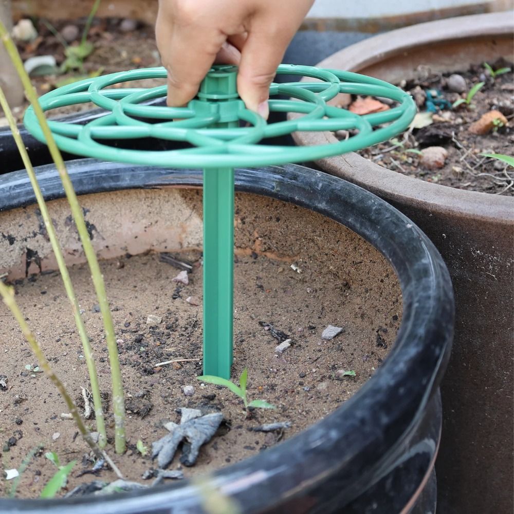 Durable S/M/L Bonsai Climbing  - Vine Climbing Plastic 评论和价格