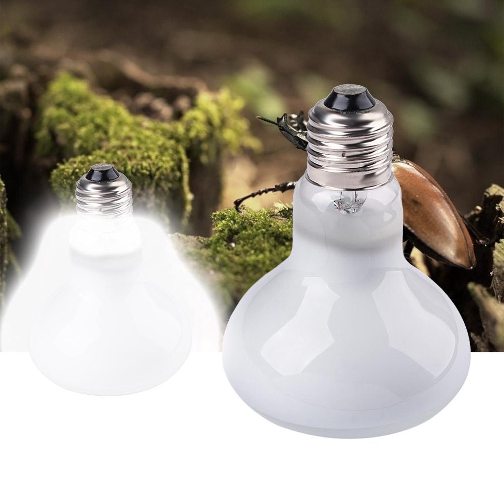 Turtle Heater Heat Lamp Reptil - Basking Bulb Halogen 评论和价格