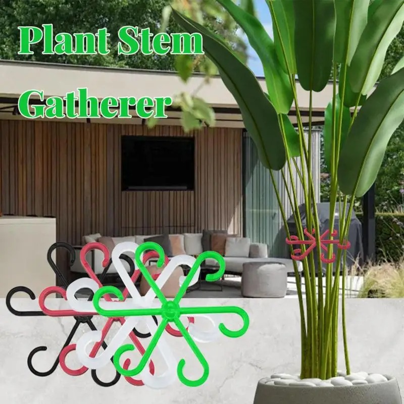 Plant Stem Support Clamp Monst - Vine Climbing Plastic 评论和价格