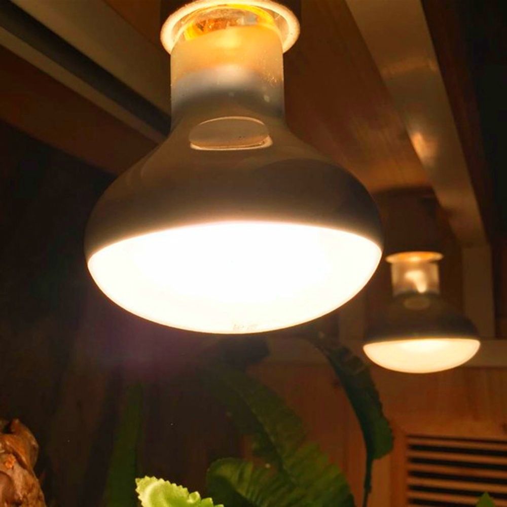 Turtle Temperature Controller  - Basking Bulb Halogen 评论和价格