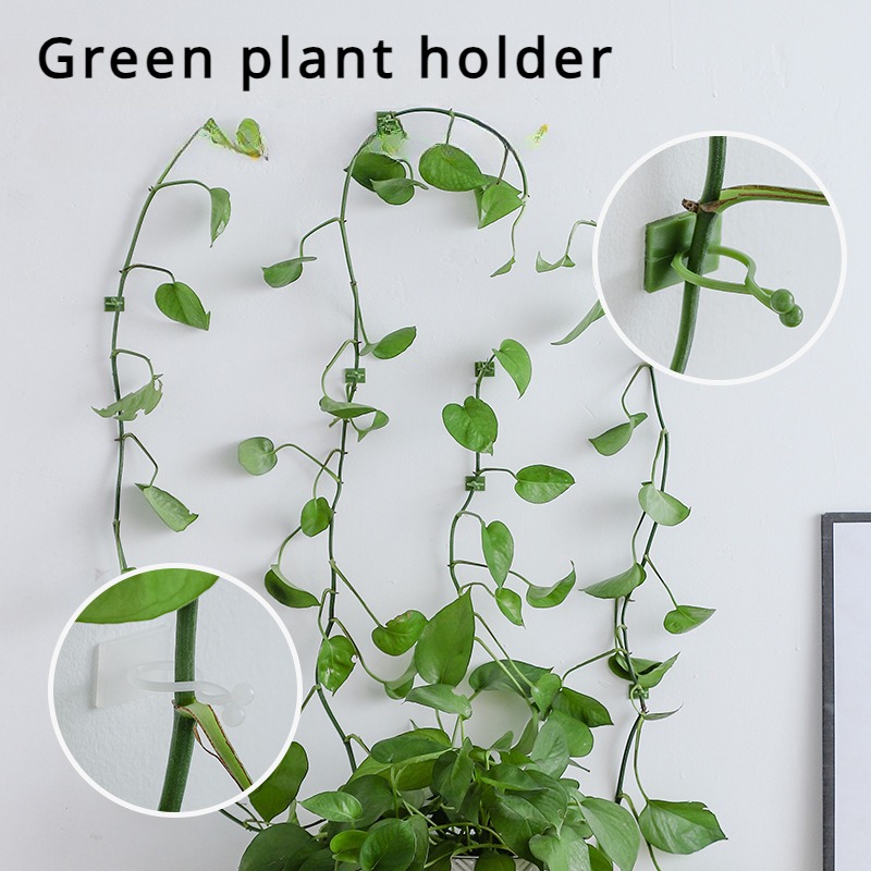 10Pcs Plant Wall Fixing Hooks  - Vine Climbing Plastic 评论和价格