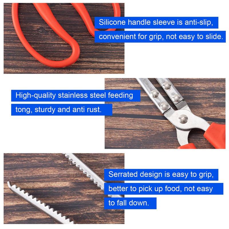 Stainless Steel Reptile Feeder - Feeding Tong Stainless 评论和价格