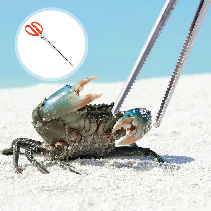 Stainless Steel Reptile Feeder - Feeding Tong Stainless 评论和价格