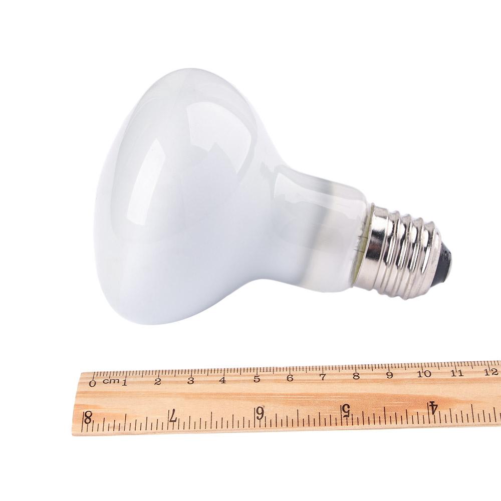 Turtle Heater Temperature Cont - Basking Bulb Halogen 评论和价格