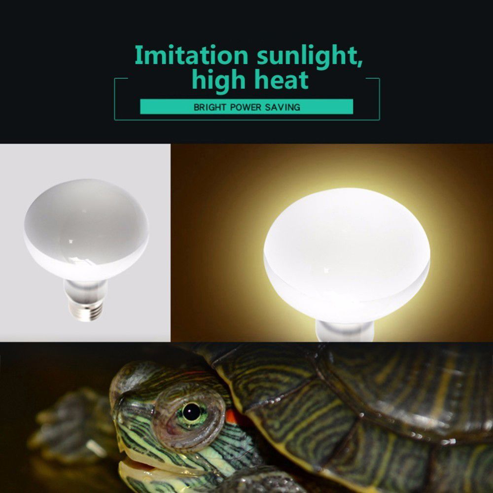 Turtle Heater Temperature Cont - Basking Bulb Halogen 评论和价格