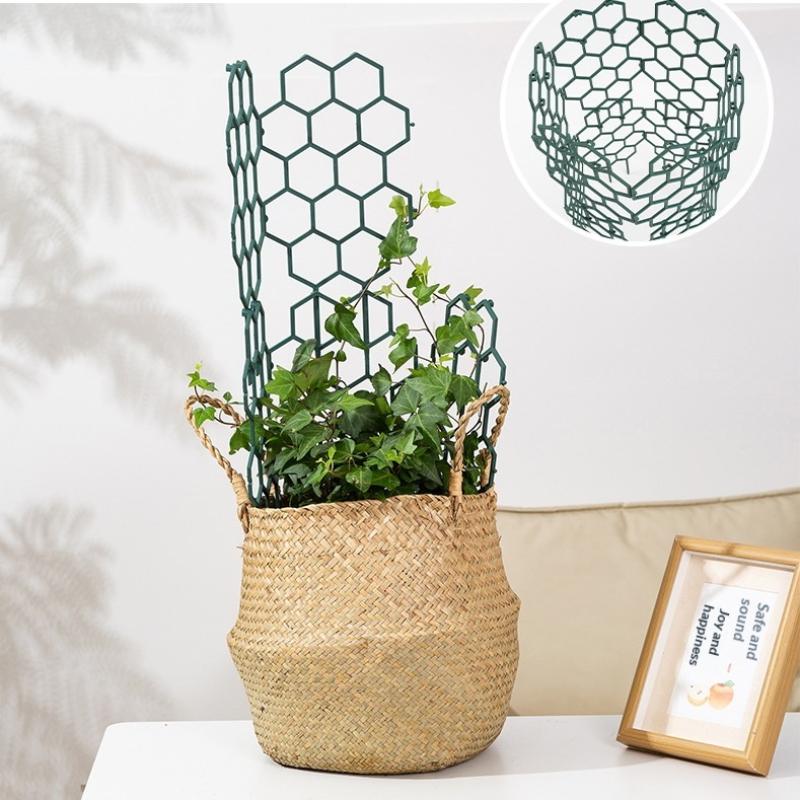 1/5Pcs Honeycomb Design Plant  - Vine Climbing Plastic 评论和价格