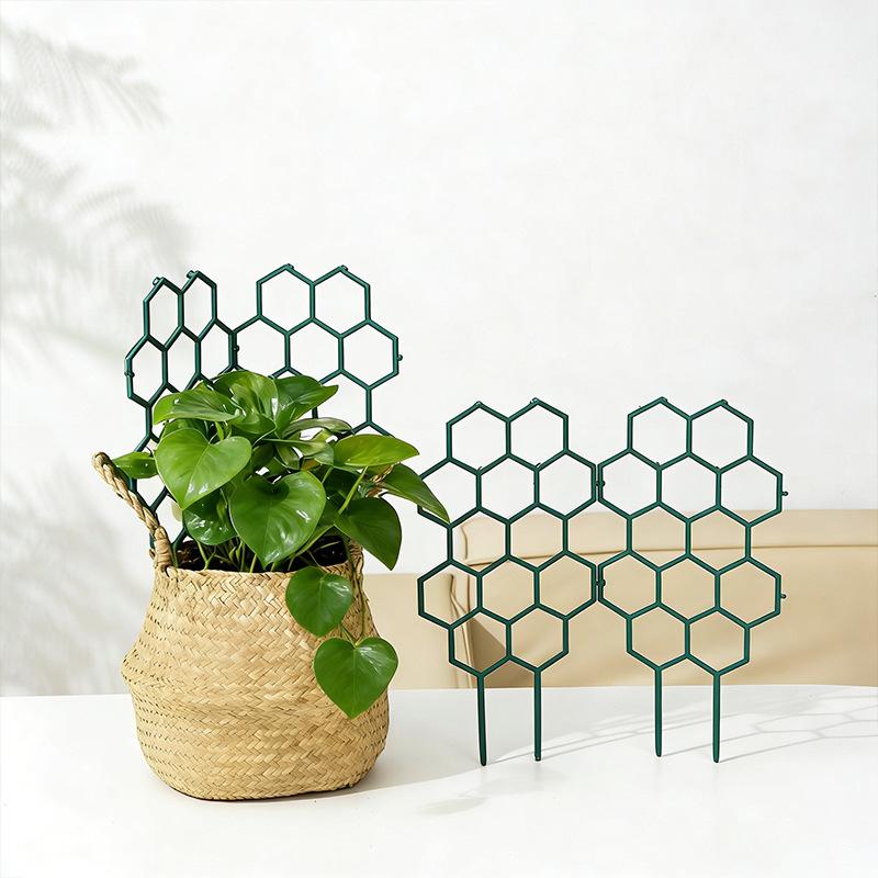 1/5Pcs Honeycomb Design Plant  - Vine Climbing Plastic 评论和价格