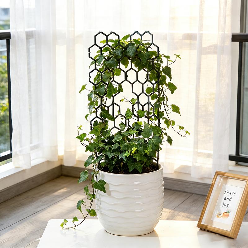 1/5Pcs Honeycomb Design Plant  - Vine Climbing Plastic 评论和价格