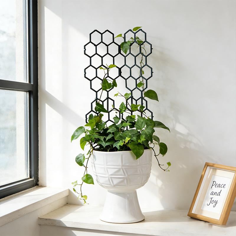 1/5Pcs Honeycomb Design Plant  - Vine Climbing Plastic 评论和价格
