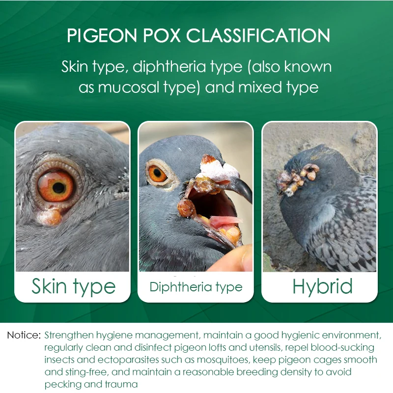 100 Tablets/Box Pigeon Pox Ora - Vitamin D3 Reptile 评论和价格
