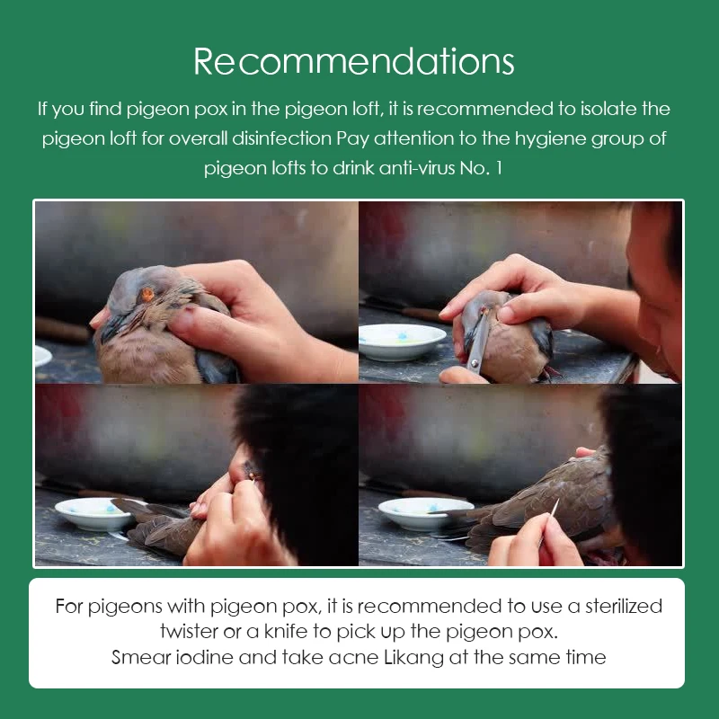 100 Tablets/Box Pigeon Pox Ora - Vitamin D3 Reptile 评论和价格