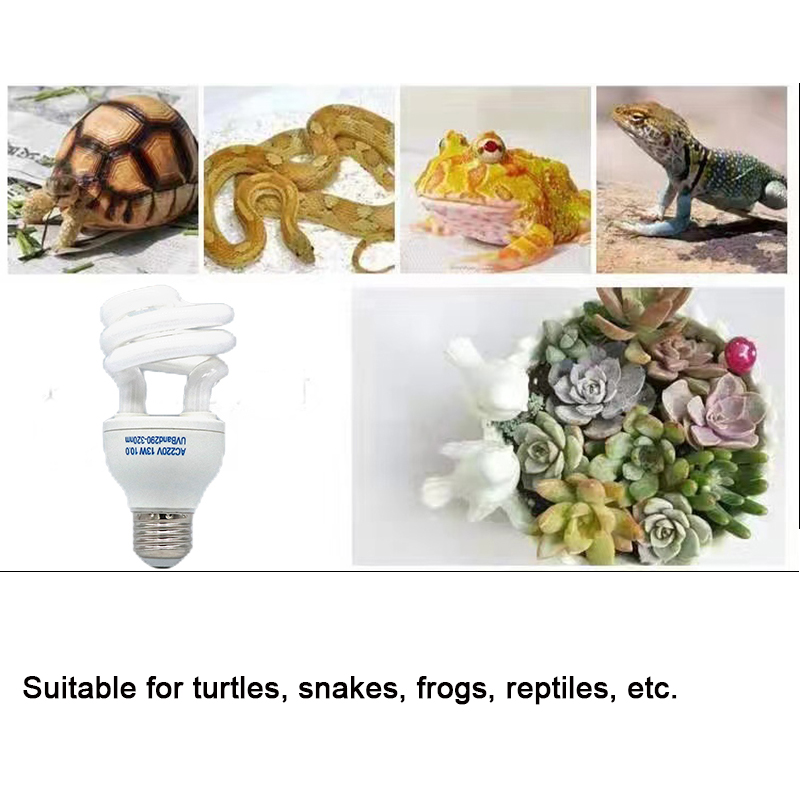 E27 13W/26W Reptile Uvb Lamp   - Calcium Powder Reptile 评论和价格