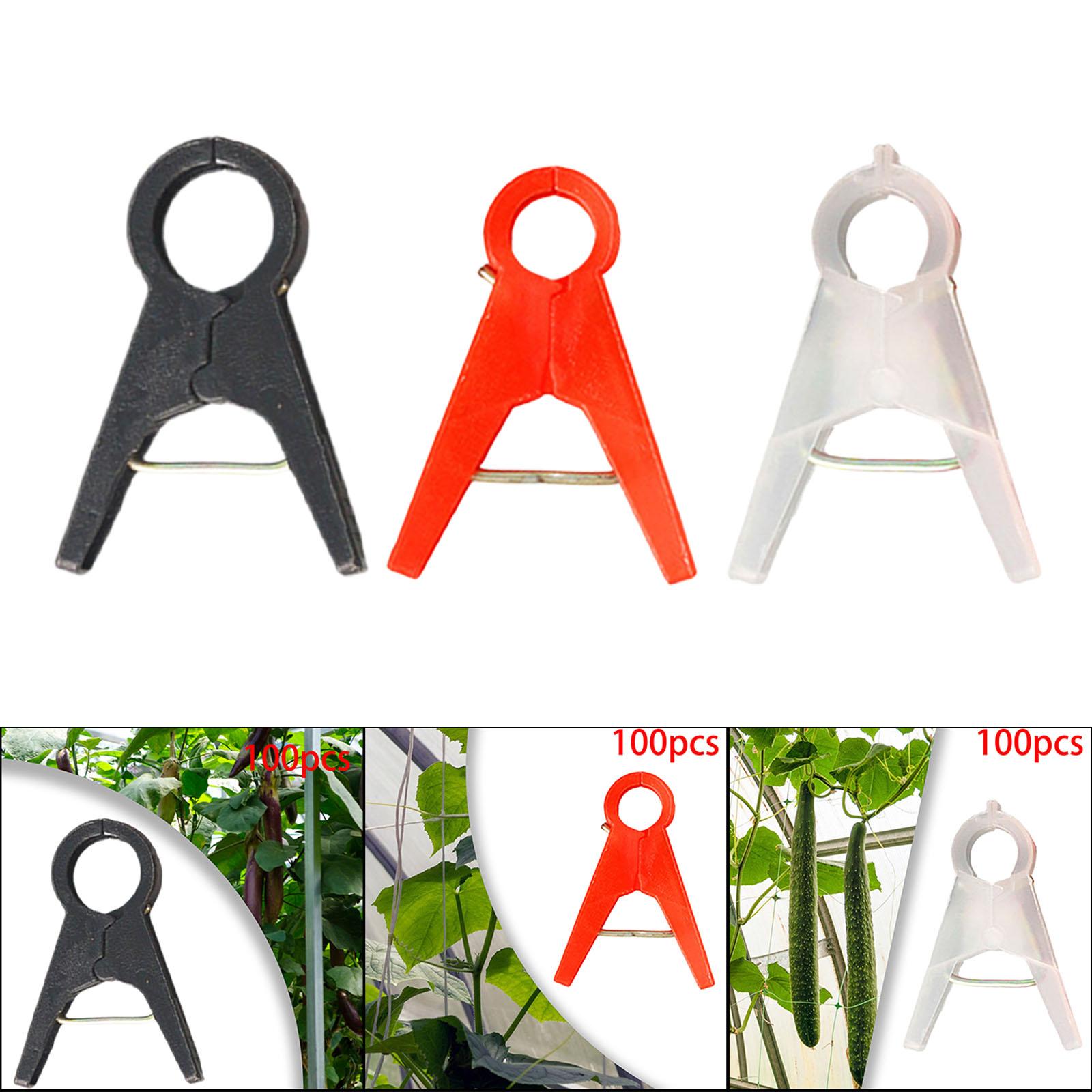 100Pcs Garden Plant Support Cl - Vine Climbing Plastic 评论和价格