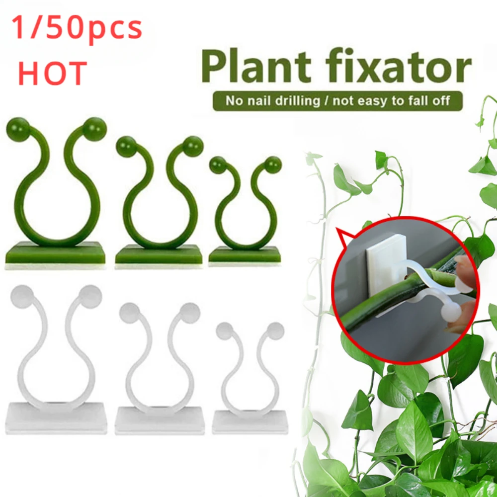 1/30/50Pcs For Garden Accsesor - Vine Climbing Plastic 评论和价格