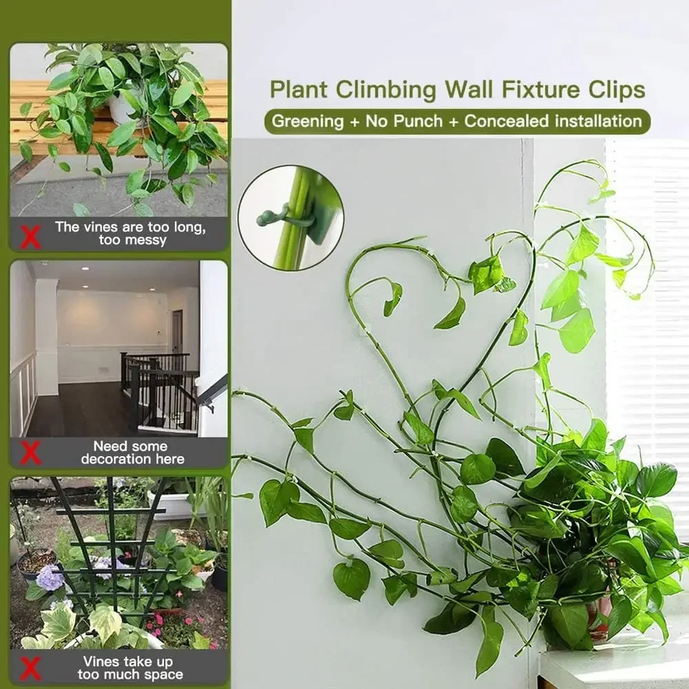 1/30/50Pcs For Garden Accsesor - Vine Climbing Plastic 评论和价格