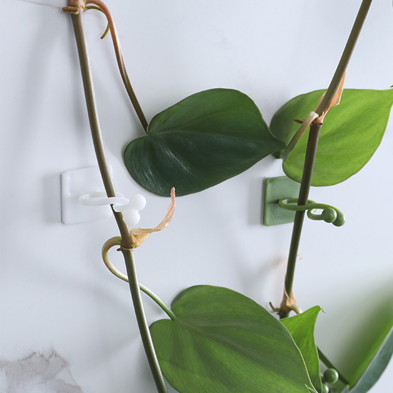 100pcs-Home Garden Plant Climb - Vine Climbing Plastic 评论和价格
