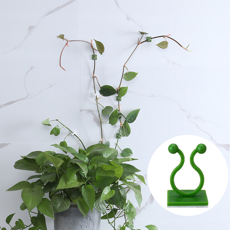 100pcs-Home Garden Plant Climb - Vine Climbing Plastic 评论和价格