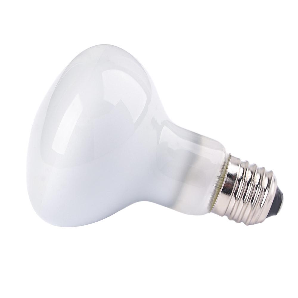Turtle Temperature Controller  - Basking Bulb Halogen 评论和价格