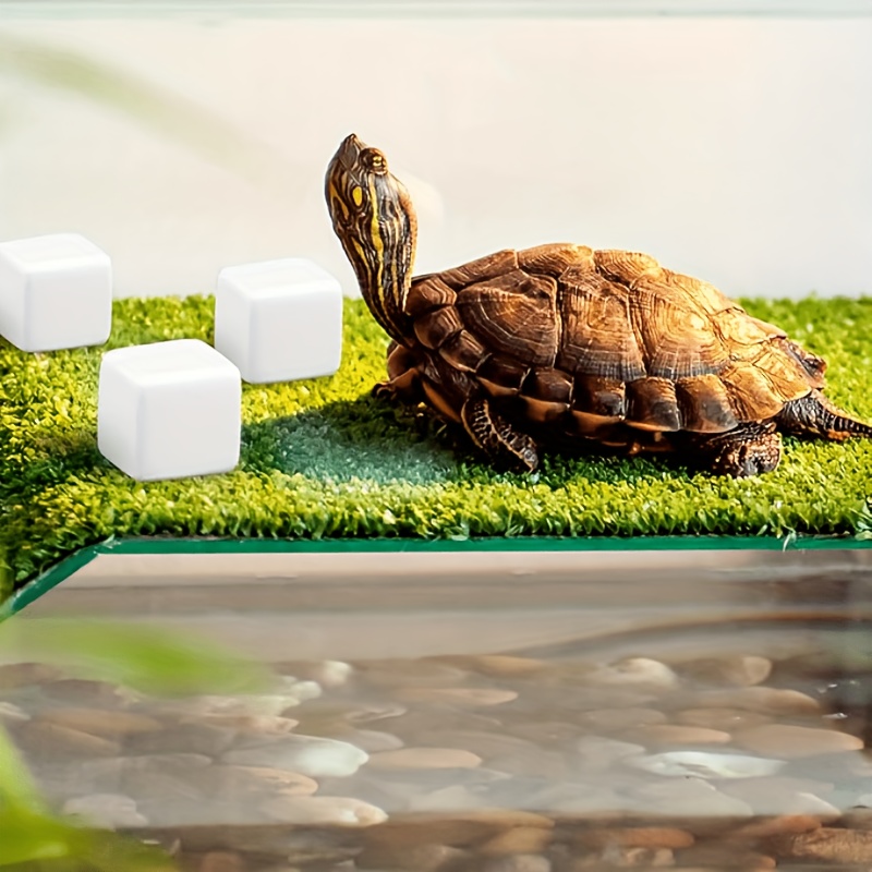 6 Pcs Fish Tank Calcium Block  - Calcium Powder Reptile 评论和价格