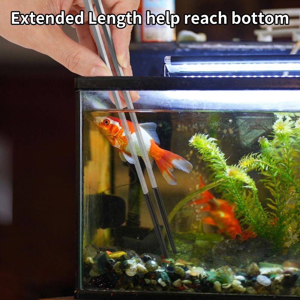 Stainless Steel Aquarium Feedi - Feeding Tong Stainless 评论和价格