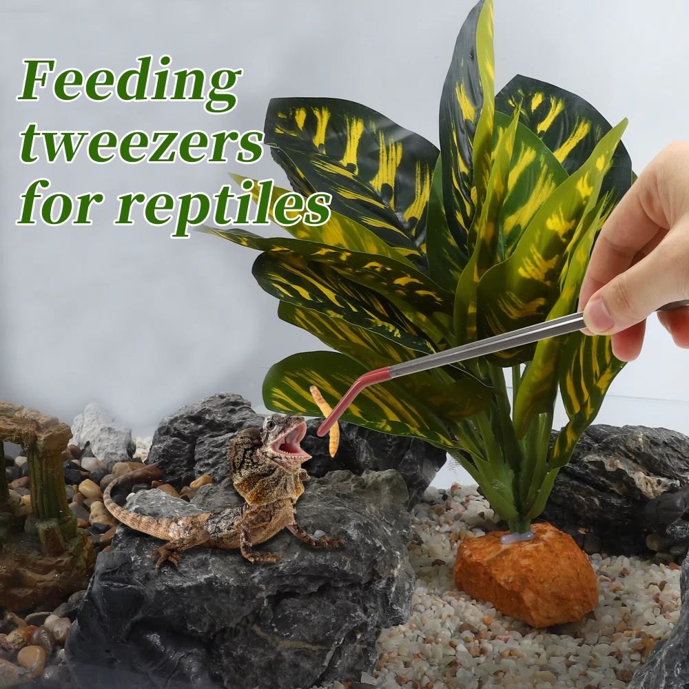 Stainless Steel Aquarium Feedi - Feeding Tong Stainless 评论和价格